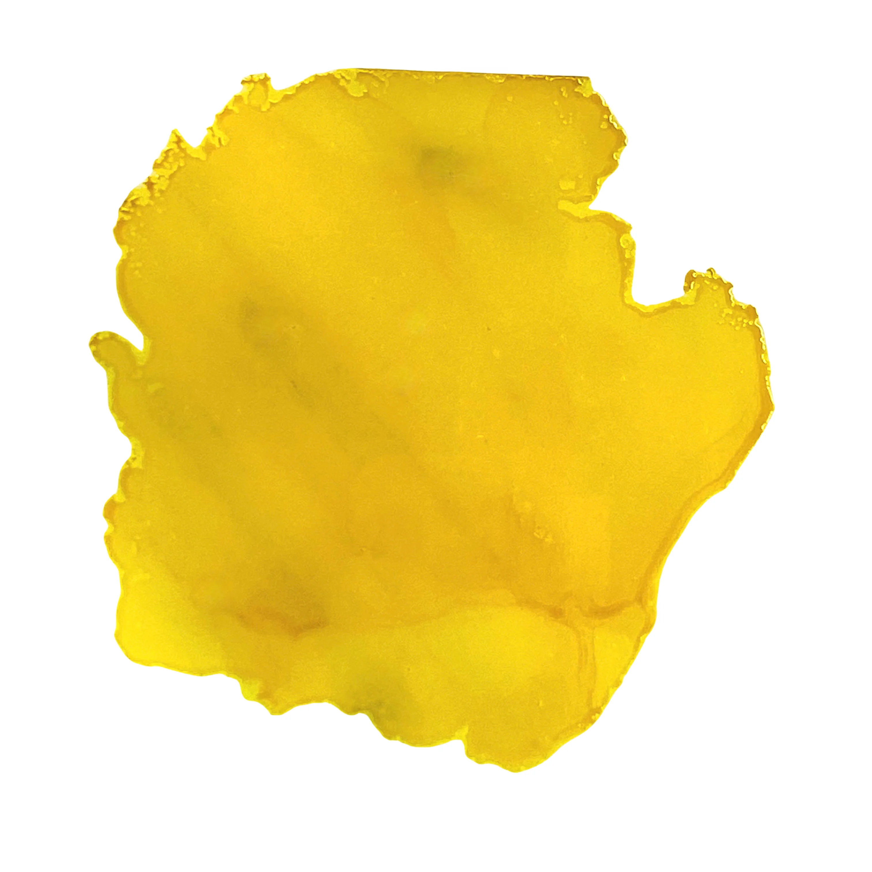 DAFFODIL - 10124