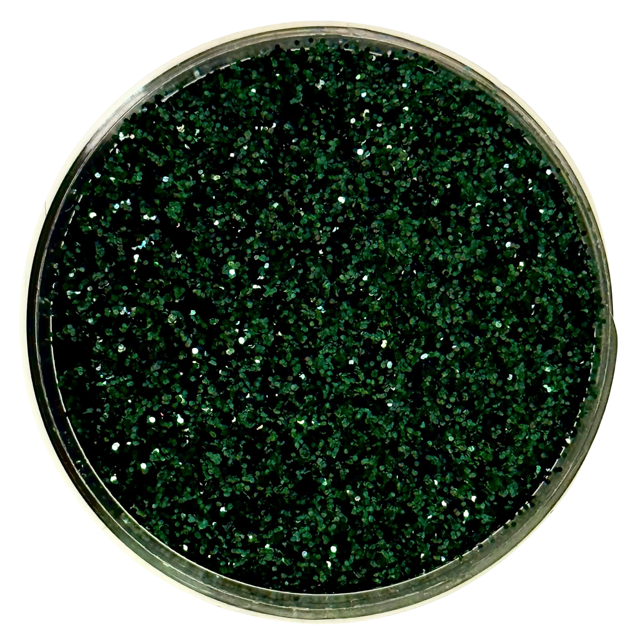 EVERGREEN - 20165